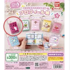 豆ガシャ本 サンリオキャラクターズ「プロフィール帳」 チャーミーキティ