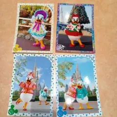 スペシャルフォト　４枚　スペフォ　ドナルド　デイジー　ディズニーリゾート