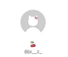 jx_z_様専用のページ