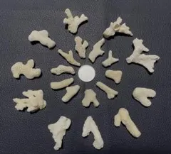 天然珊瑚 小さくて綺麗な枝珊瑚セット ハンドメイド アクセサリー レジンNO27