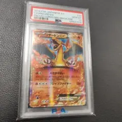 2026年最新】リザードンEX xy psa10の人気アイテム - メルカリ