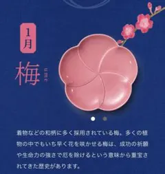 新品未使用　サントリー　金麦花やか皿　5枚セット