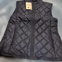 Item thumbnail for item f835cfe5-9dc2-4e05-8b7b-f1167a183ea5