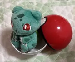 ポケモン ナマコブシ プチぬいぐるみ IN モンスターボールケース Vol.3