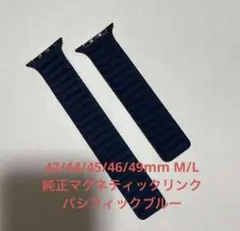 Apple純正 45mm M/Lマグネティックリンク・パシフィックブルー