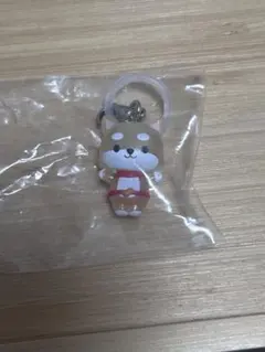 JOCHUM　めじるしアクセサリー　まめちぃ