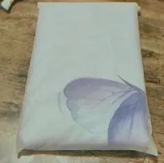 Item thumbnail for item 905c3623-d7a6-464c-9b85-e8a0e567398a