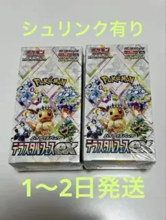 2025年最新】テラスタルフェスexの人気アイテム - メルカリ