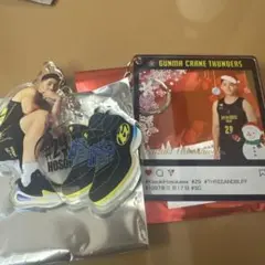 群馬クレインサンダーズ スポーツ選手