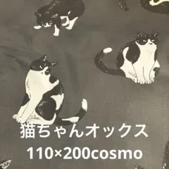 Item thumbnail for item 53d3edff-d384-4be1-a254-d78e3c0f220d