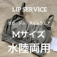 水陸両用ブラトップ