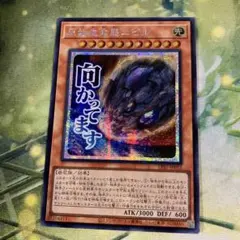 2026年最新】原始生命態ニビル アジアの人気アイテム - メルカリ