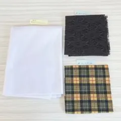 Item thumbnail for item ed988704-146e-46be-9a44-5453aa6d7a3b