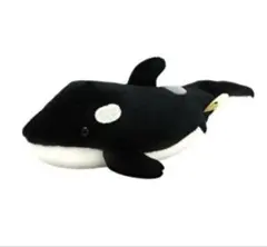 Item thumbnail for item e3b2c358-160c-469a-9b68-99b4c93bcb96