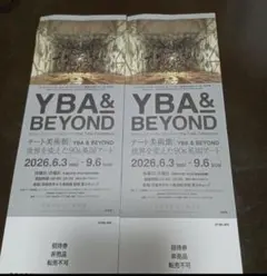 YBA&BEYOND テート美術館 世界を変えた90s英国アート 京都 ２枚のサムネイル