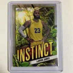 Item thumbnail for item 5ad23d9c-a5b4-43ff-96fc-b7014b19f9c7