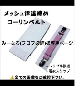 みーなる(プロフ必読)様専用ページ