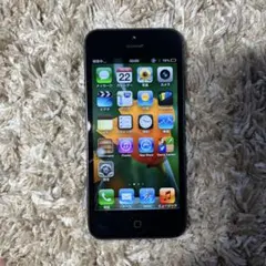 Item thumbnail for item 9a6b6025-3f6b-4302-947a-ed597a67bff9