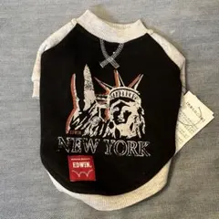 Item thumbnail for item 5b451f12-eb75-493f-8c4b-a6121a8eca85