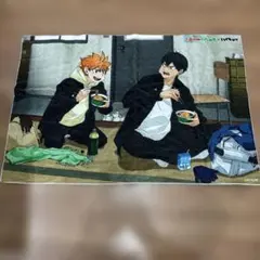 赤いきつね　緑のたねき✖️ハイキュー　大判タオル