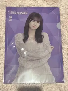 乃木坂46 菅原咲月　13th birthday live クリアファイル