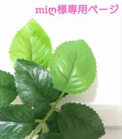 ＊miღ様専用ページ＊