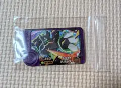 ポケモンフレンダ　スーパートレジャー　ジガルデ