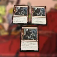 MTG 祭典壊し　VOW 日本語3枚セット