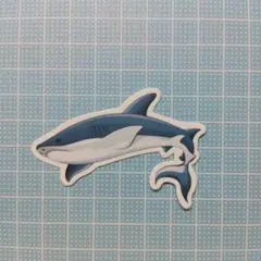 F サメ　　シャーク　Shark　防水ステッカー　ステッカー　シール