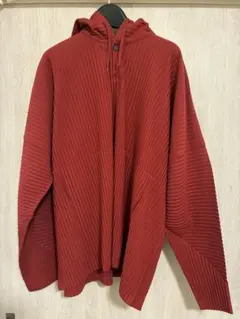 ⭐️最終価格⭐️店舗限定プリーツプリーズ変形フード付きパーカー極美品⭐️ ⭐️最終価格⭐️店舗限定プリーツプリーズ変形フード付きパーカー極美