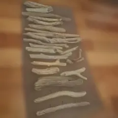 流木詰め合わせ