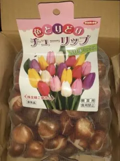 2026年最新】サカタのタネ 株主優待の人気アイテム - メルカリ