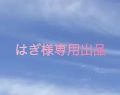 はぎ様専用出品