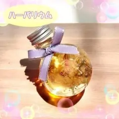 初夏にピッタリのインテリア　ハーバリウム　インテリア　おうちデート