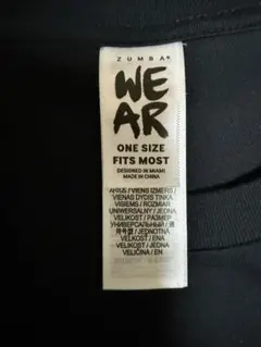 正規品☆ I ❤️ ZUMBA ☆黒Tシャツ ONE SIZE