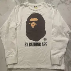 Item thumbnail for item 8cf6ed36-5b0e-4c0d-a79b-a92d82d3fb5d