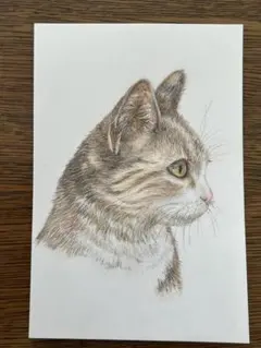 2026年最新】猫の色鉛筆画の人気アイテム - メルカリ