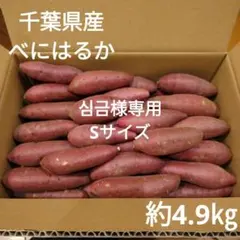 심금様専用　 千葉県産　べにはるか　さつまいも　サツマイモ　Sサイズ　約4.9㎏