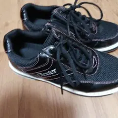 Item thumbnail for item 1c60a8a9-0fa6-4422-bafb-e43dbc6cf557