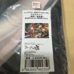 シノビマスター 閃乱カグラ NEW LINK 飛鳥　タオルケット