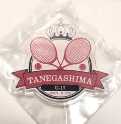 希少 テニフェス デコガチャ 種ヶ島修二 アクリルバッジ 新テニスの王子様