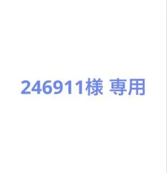 246911様 リクエスト 2点 まとめ商品