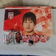 バレーボール女子日本代表 関菜々巳 マイクロファイバータオル・缶