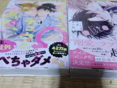 ⑧商業BL はなさわ浪雄　天春まいね