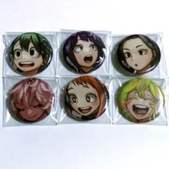 ヒロアカ 応募者全員サービス スペシャルディスプレイ缶バッジ 女子セット