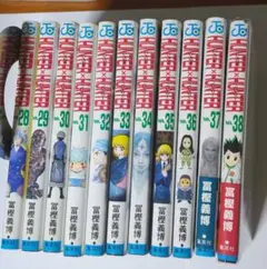 HUNTER×HUNTER 28巻〜38巻セット（初版）