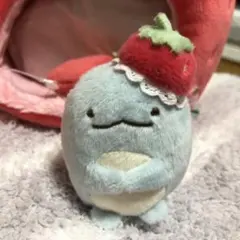 すみっコぐらし　ハウスのとかげのみ　喫茶すみっコでいちごフェア