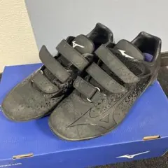 Item thumbnail for item ce5d5306-143d-4294-8271-46df00db93d2