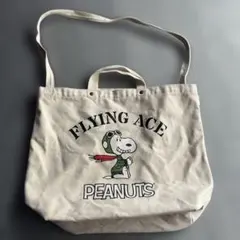 Item thumbnail for item d645ca4d-57c0-4086-81e5-7d0bca1f6c54