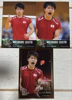 関田誠広　龍神NIPPON2016 レギュラー&スペシャルカード　コンプ